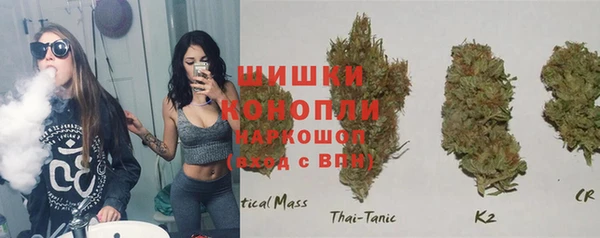 Альфа ПВП Бугульма