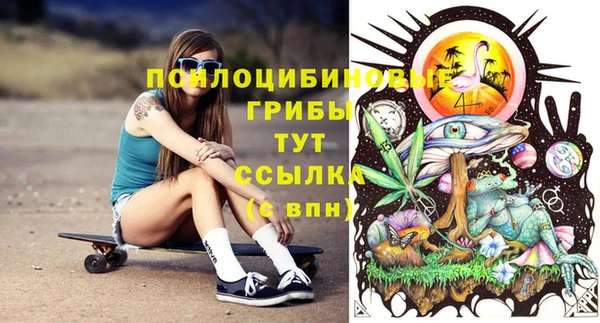 ПСИЛОЦИБИНОВЫЕ ГРИБЫ Бронницы
