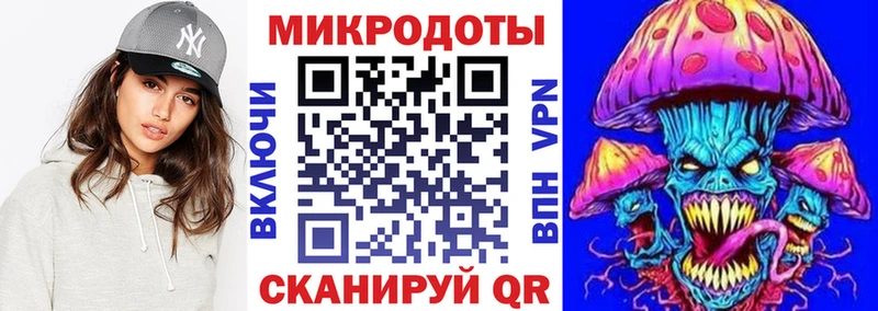 Купить где  Черноголовка  Псилоцибиновые грибы Cubensis 